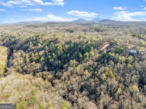 0 River View Lot 12 Trail W Dahlonega GA 30533