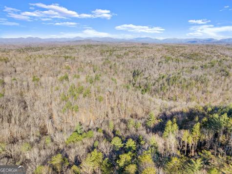 0 River View Lot 12 Trail W Dahlonega GA 30533