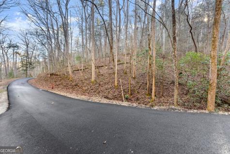 0 River View Lot 12 Trail W Dahlonega GA 30533