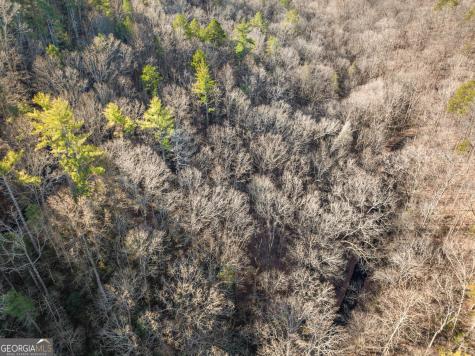 0 River View Lot 12 Trail W Dahlonega GA 30533