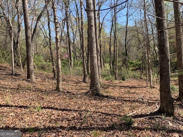 0 Townview Drive Cleveland GA 30528