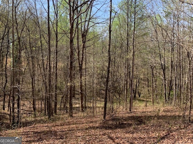 0 Townview Drive Cleveland GA 30528