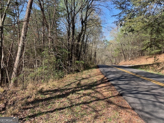 0 Townview Drive Cleveland GA 30528
