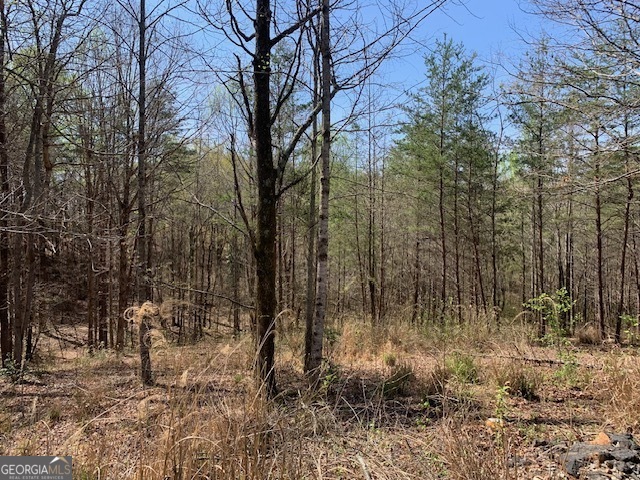 0 Townview Drive Cleveland GA 30528
