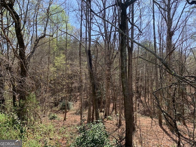 0 Townview Drive Cleveland GA 30528
