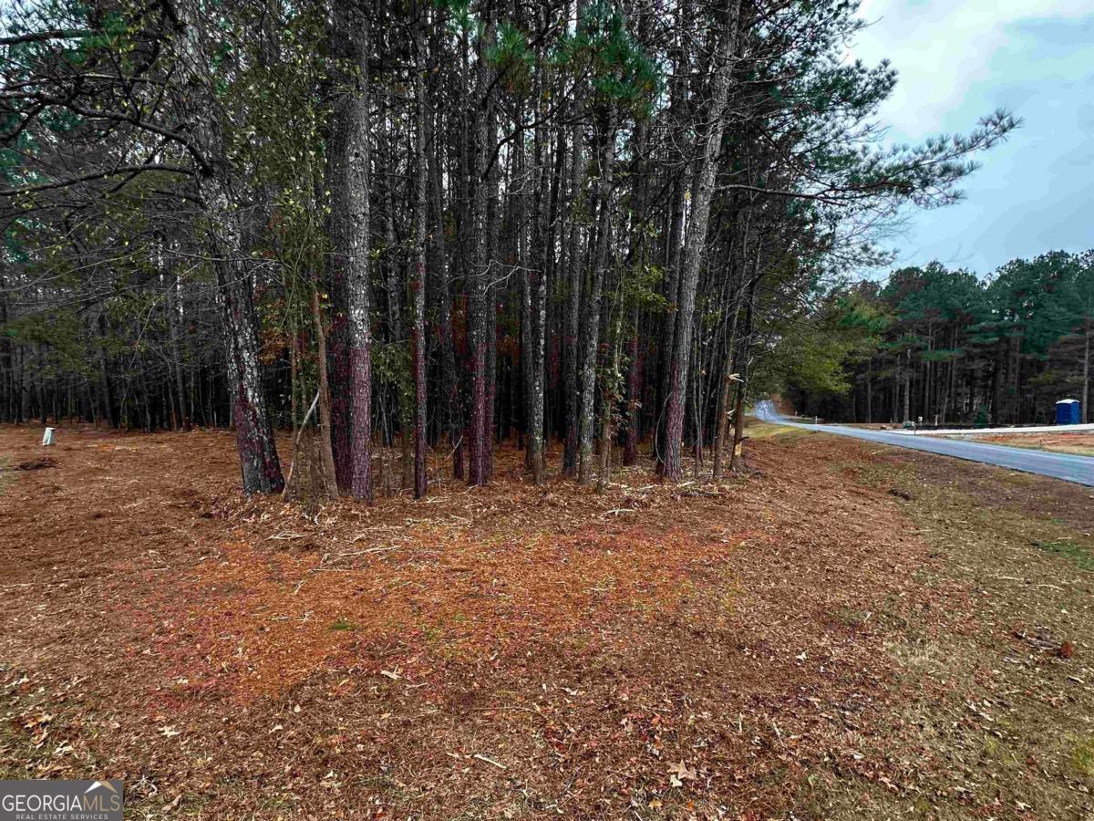 1220 Anchor Bay Circle Greensboro GA 30642