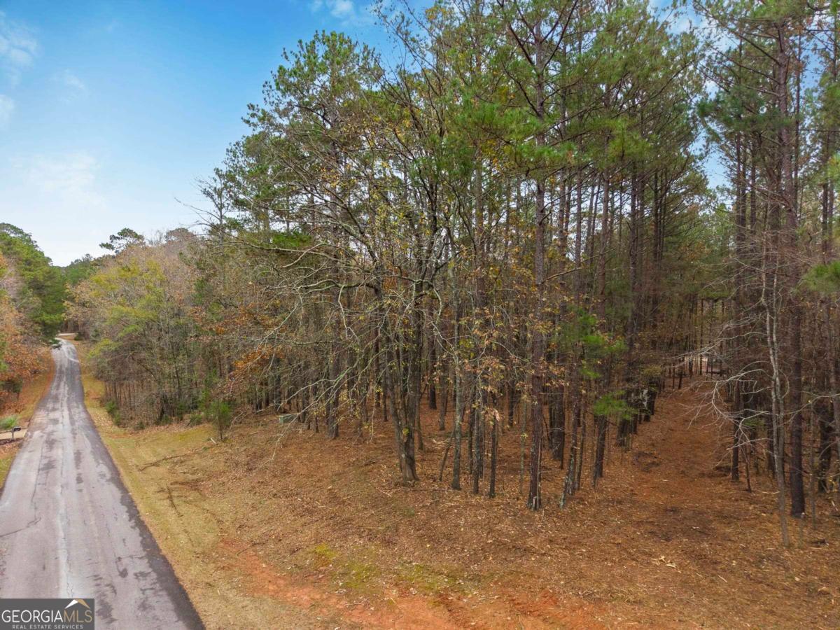 1220 Anchor Bay Circle Greensboro GA 30642