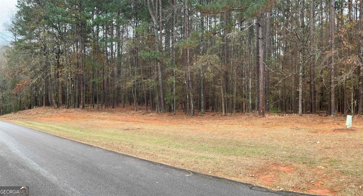 1220 Anchor Bay Circle Greensboro GA 30642