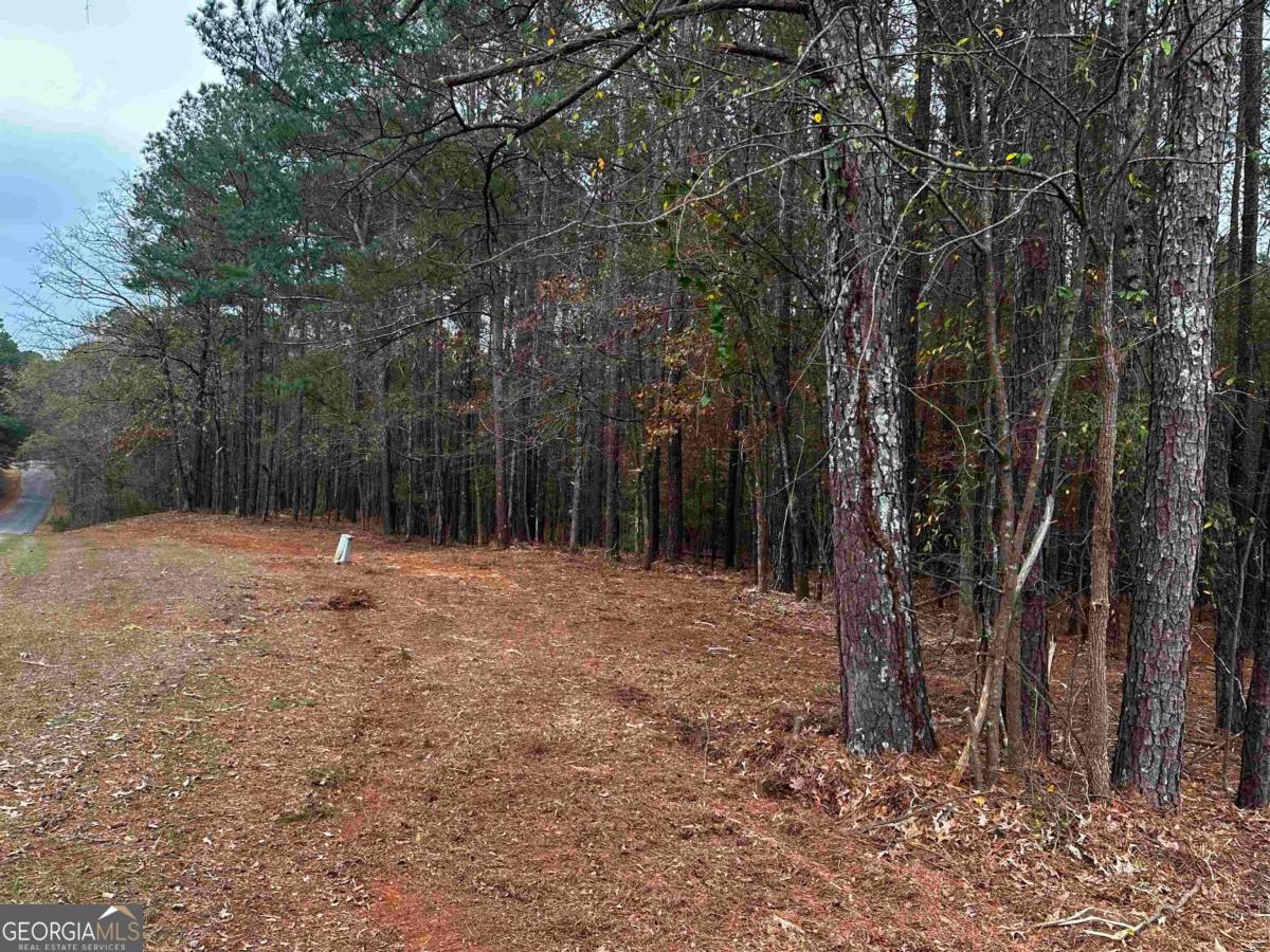 1220 Anchor Bay Circle Greensboro GA 30642