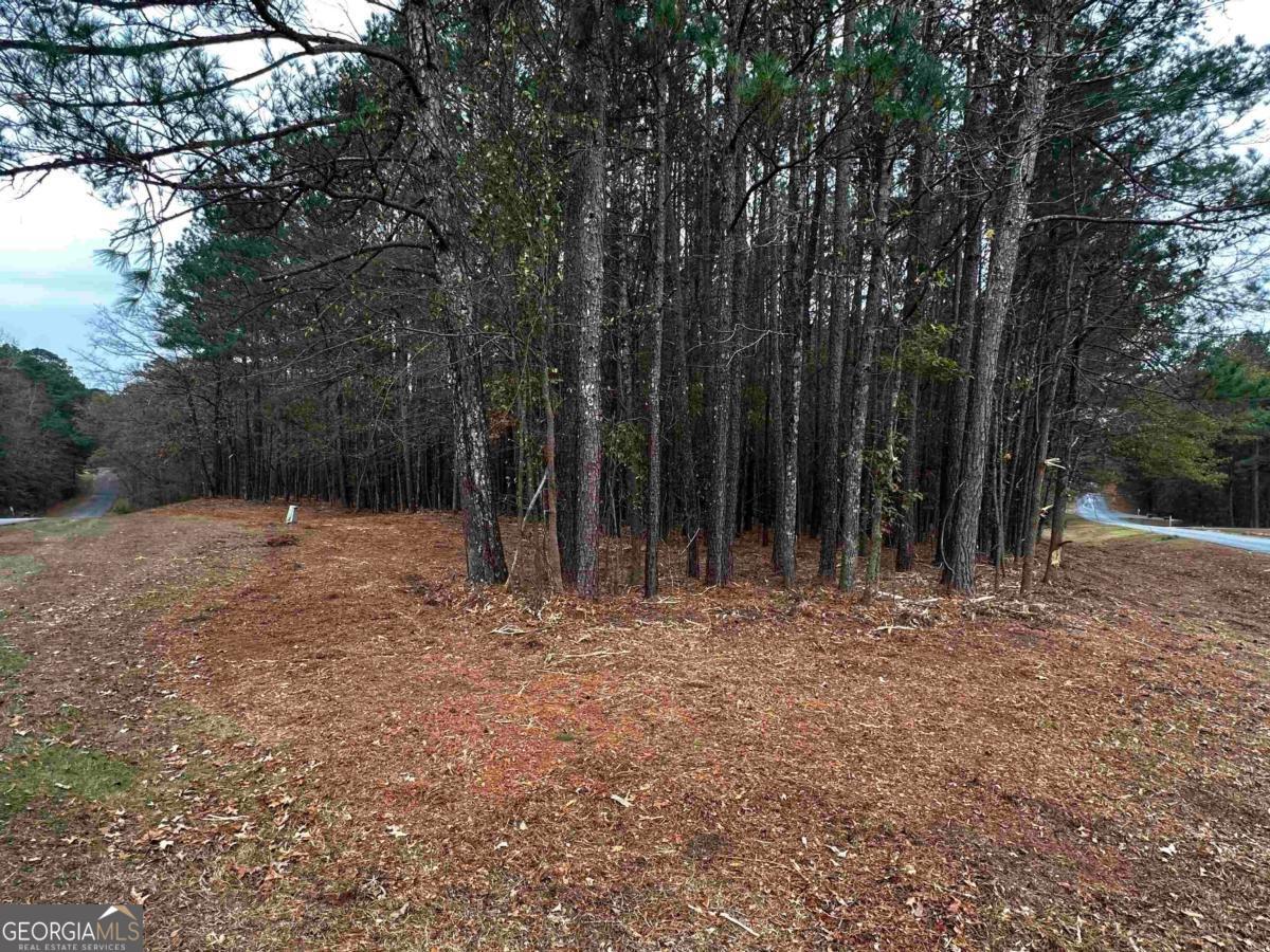 1220 Anchor Bay Circle Greensboro GA 30642