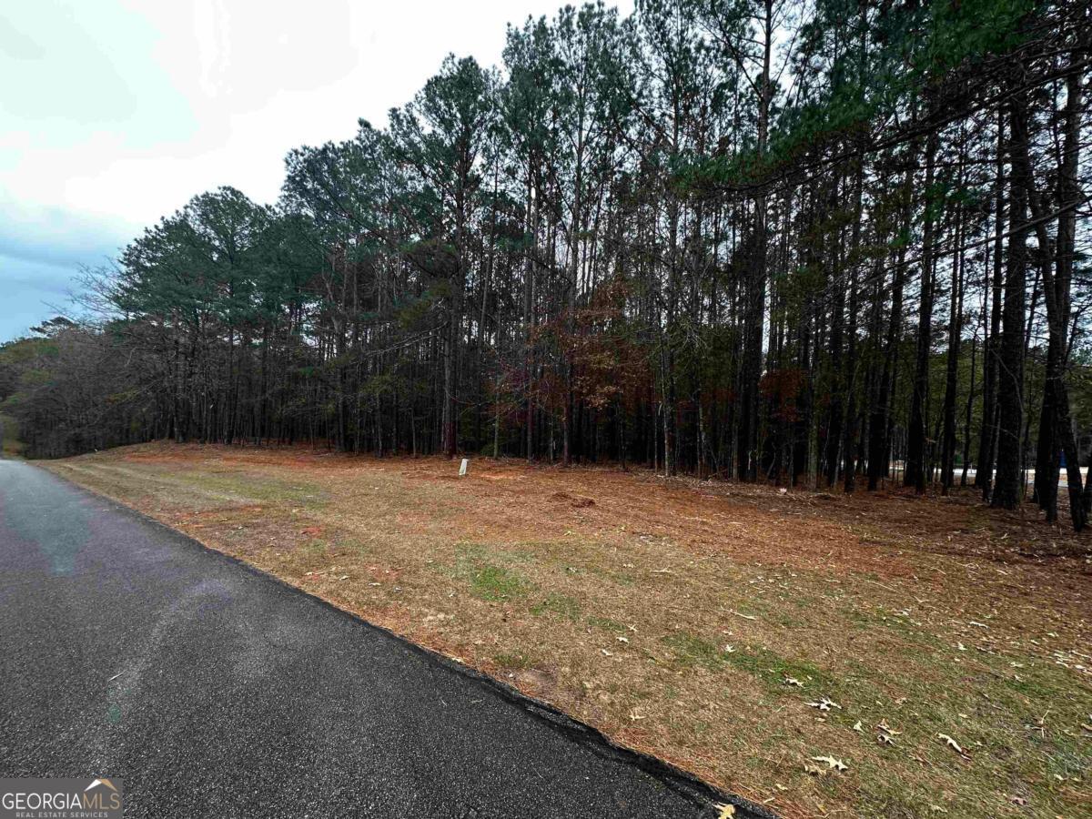 1220 Anchor Bay Circle Greensboro GA 30642