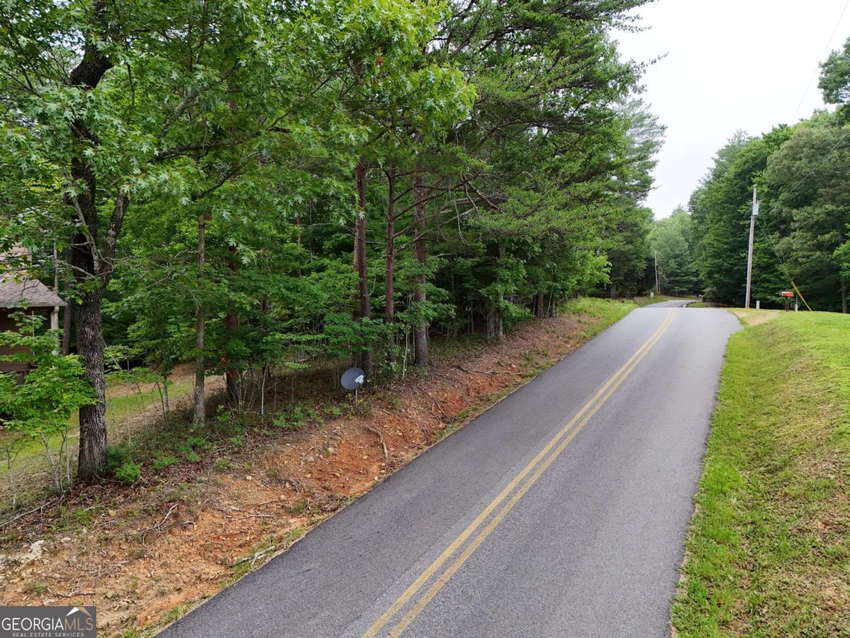 Lot 3 Cook Henry Road Blairsville GA 30512