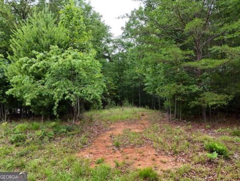 Lot 3 Cook Henry Road Blairsville GA 30512