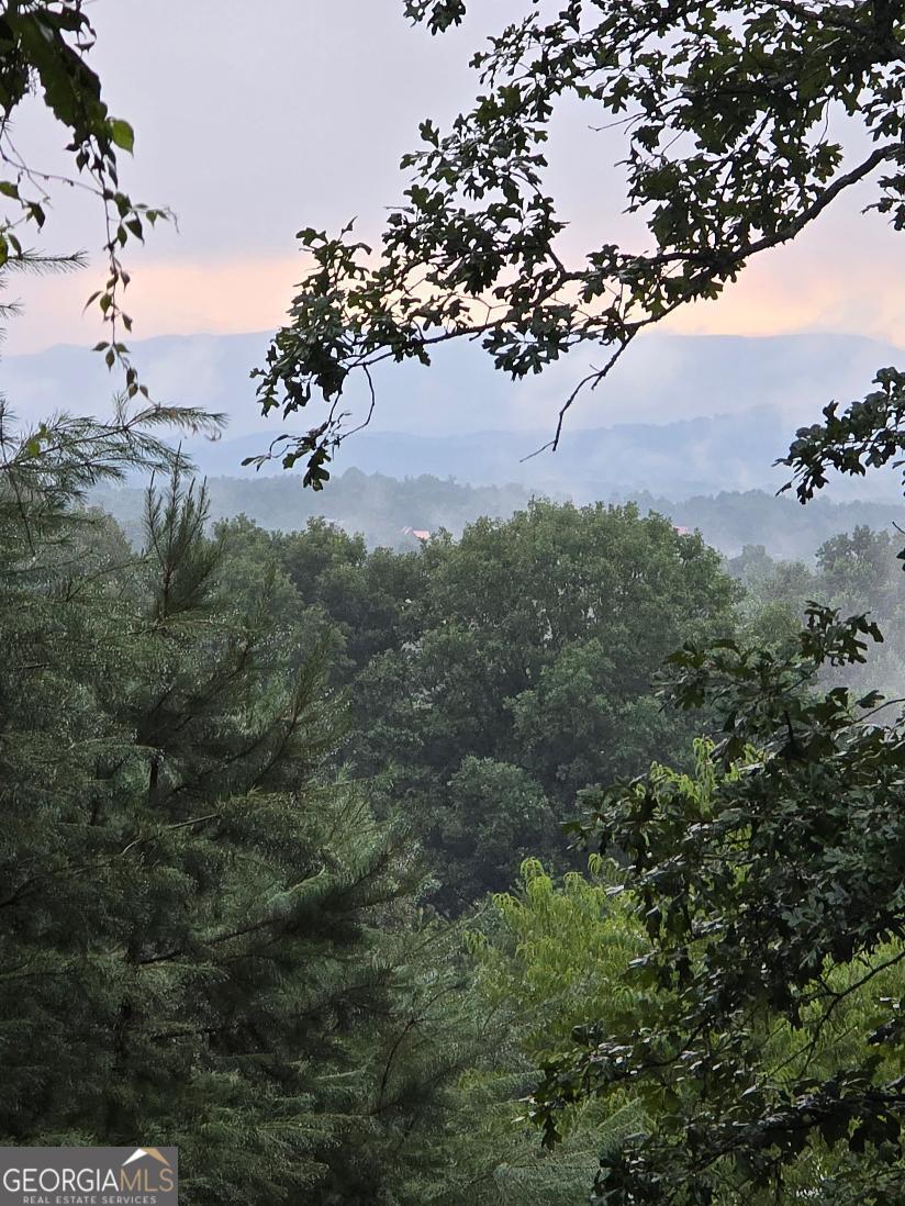 Lot 6 B And W Ranch Road Blairsville GA 30512