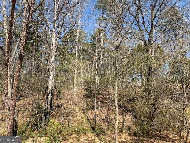 0 Jack Pittman Road Dacula GA 30019