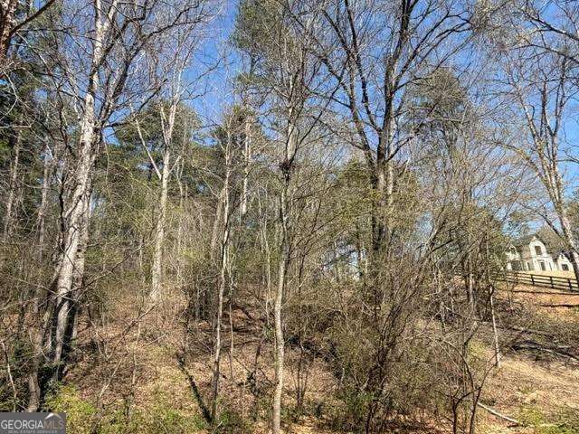 0 Jack Pittman Road Dacula GA 30019