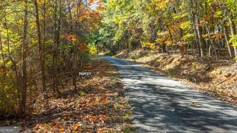 333 Song Bird Drive Cleveland GA 30528