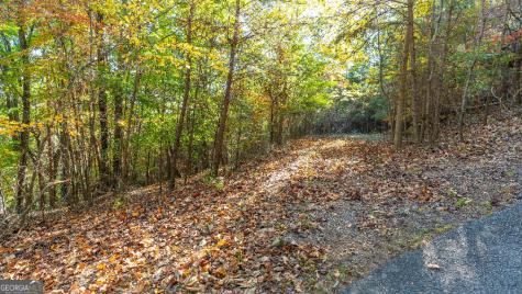 333 Song Bird Drive Cleveland GA 30528