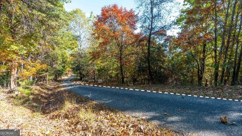 333 Song Bird Drive Cleveland GA 30528