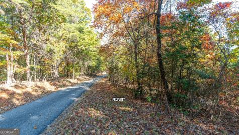 333 Song Bird Drive Cleveland GA 30528