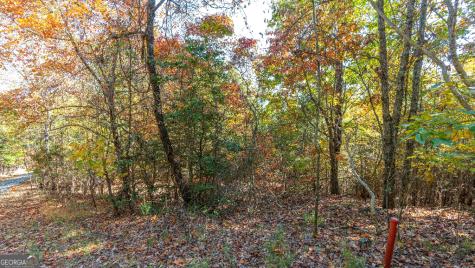333 Song Bird Drive Cleveland GA 30528