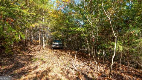 333 Song Bird Drive Cleveland GA 30528