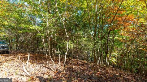 333 Song Bird Drive Cleveland GA 30528