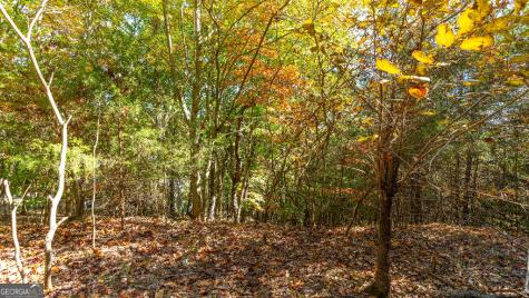 333 Song Bird Drive Cleveland GA 30528