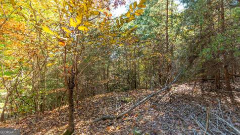 333 Song Bird Drive Cleveland GA 30528