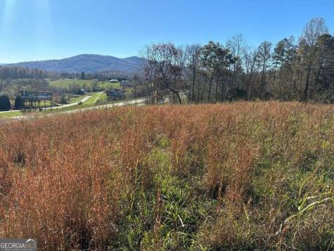 Lots 1-4 Windy Ridge & Highway 69 Hayesville NC 28904