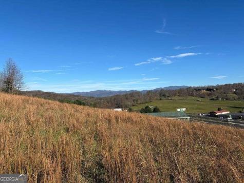 Lots 1-4 Windy Ridge & Highway 69 Hayesville NC 28904