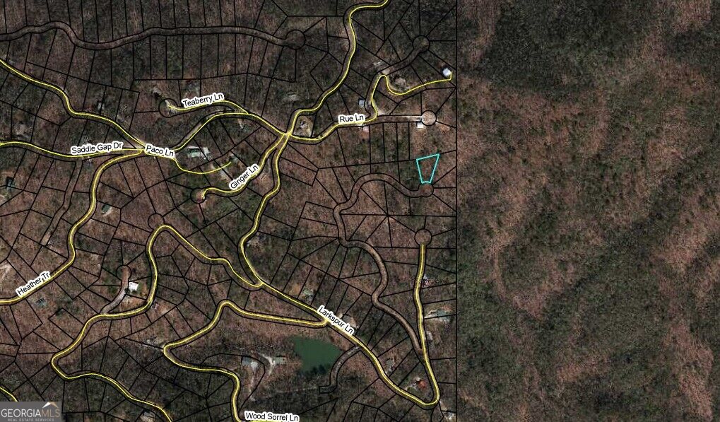 0 Larkspur Lane Clayton GA 30525