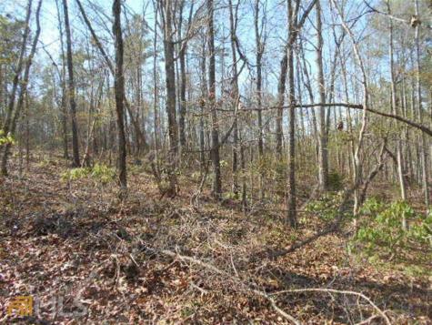 0 Nebo Road Dallas GA 30141