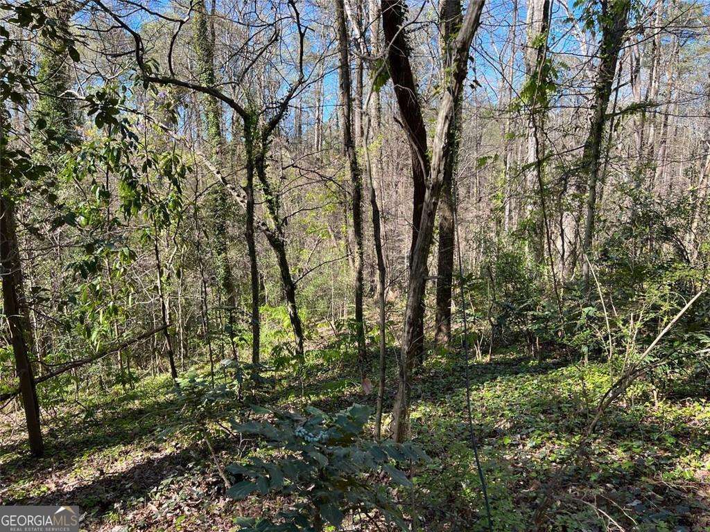 2455 Dodson Drive Atlanta GA 30344