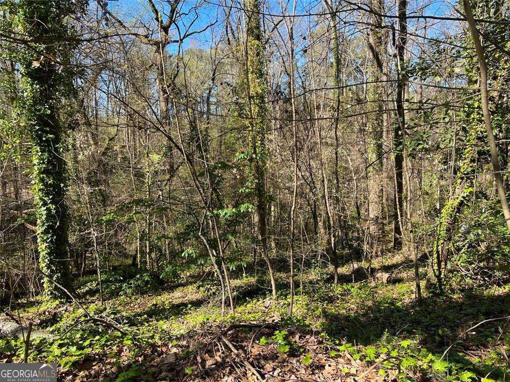 2455 Dodson Drive Atlanta GA 30344