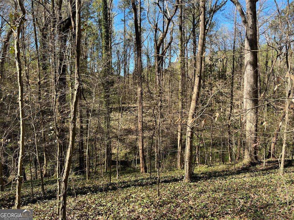 2455 Dodson Drive Atlanta GA 30344