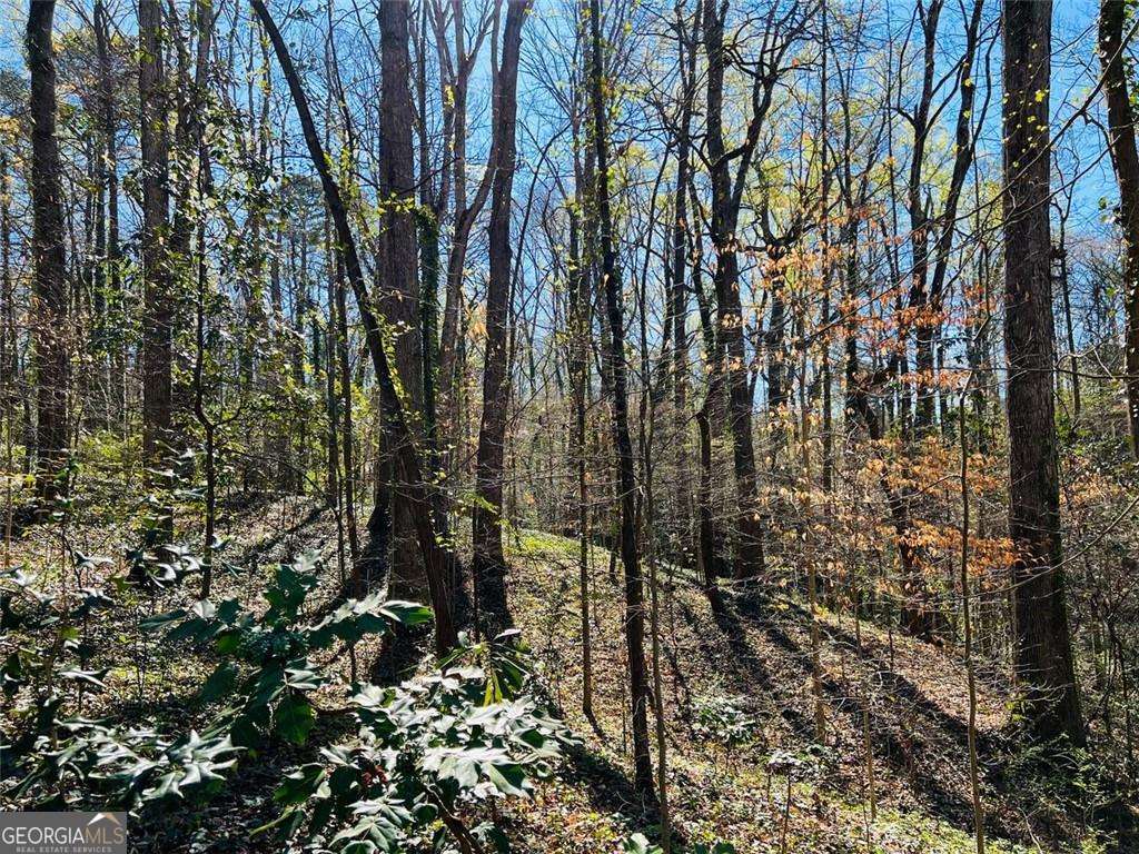 2455 Dodson Drive Atlanta GA 30344