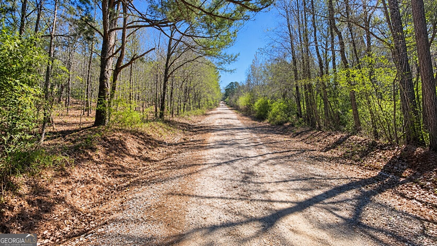 0 Emerson Road Greenville GA 30222