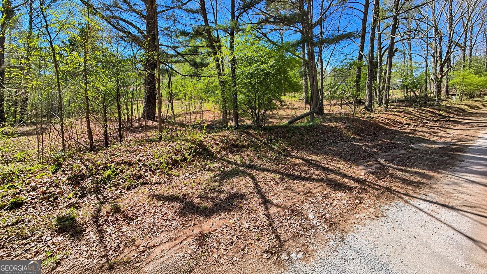 0 Emerson Road Greenville GA 30222