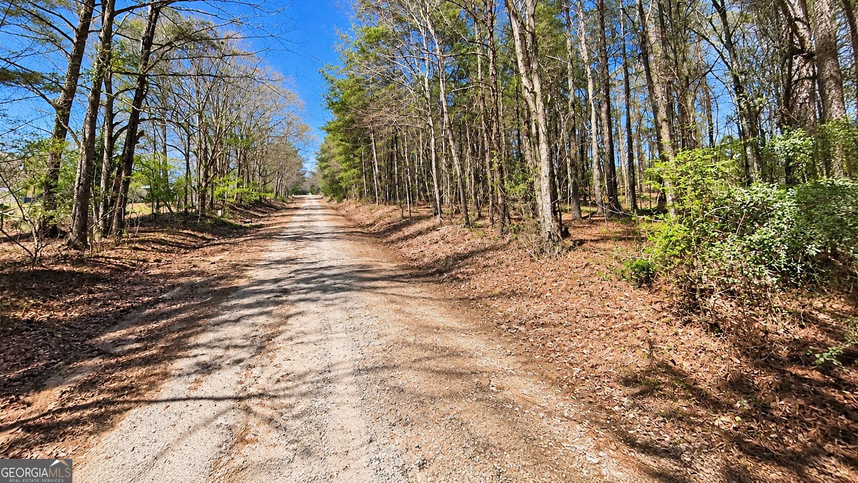 0 Emerson Road Greenville GA 30222