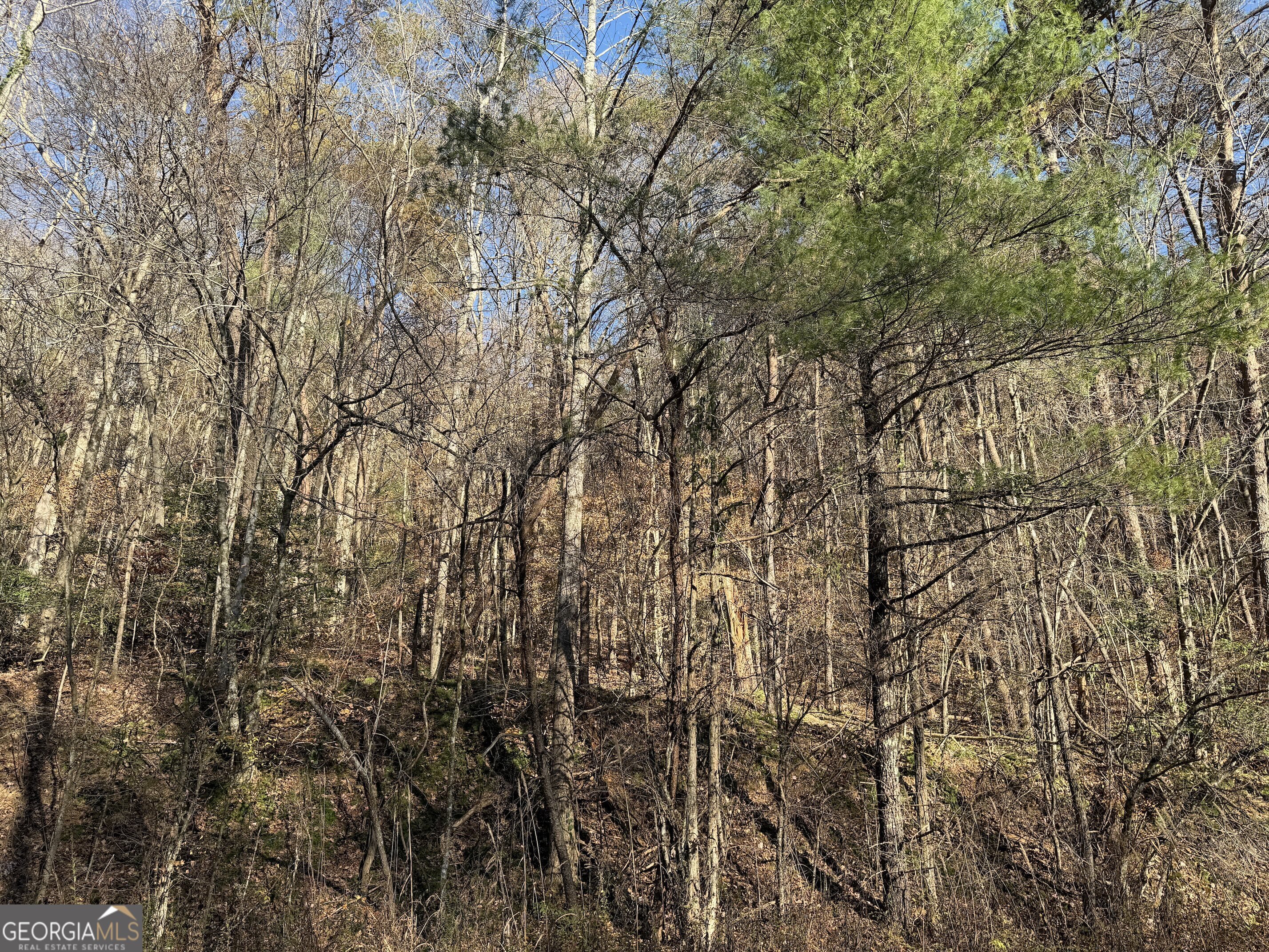 0 Whitepath Road Ellijay GA 30540