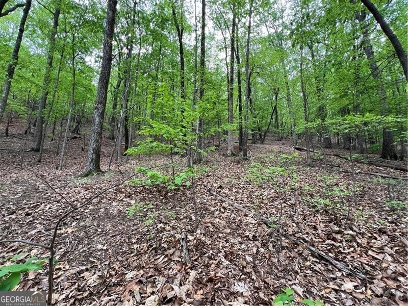 387 Windflower Drive Big Canoe GA 30143