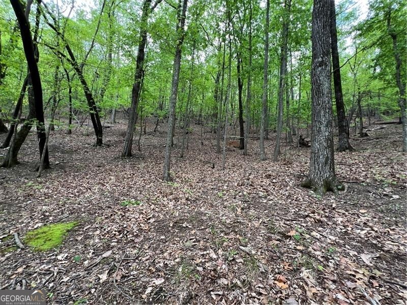387 Windflower Drive Big Canoe GA 30143