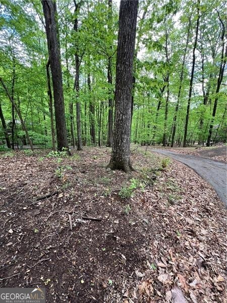 387 Windflower Drive Big Canoe GA 30143