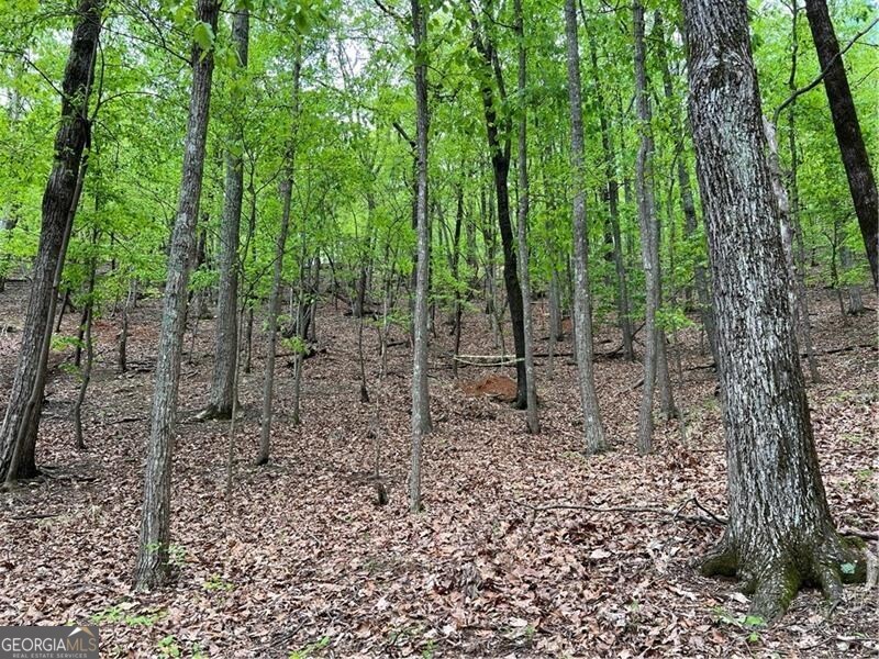 387 Windflower Drive Big Canoe GA 30143