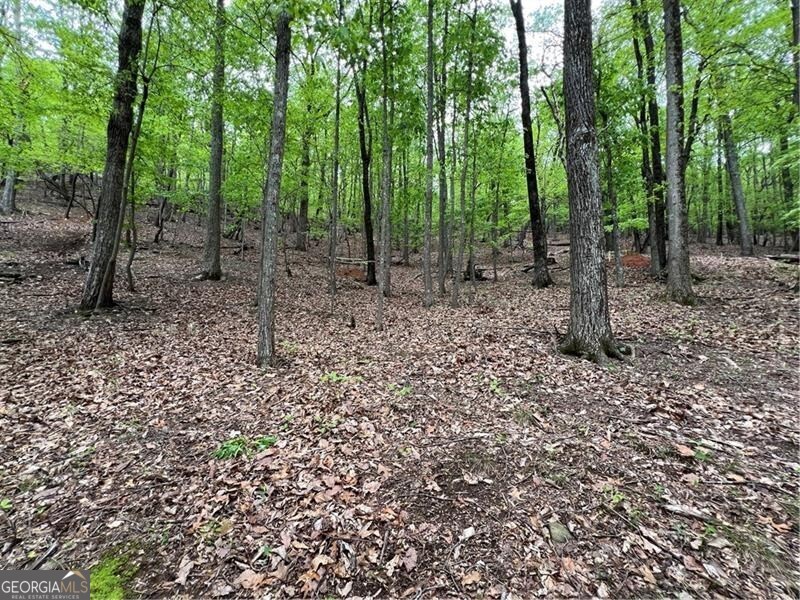 387 Windflower Drive Big Canoe GA 30143