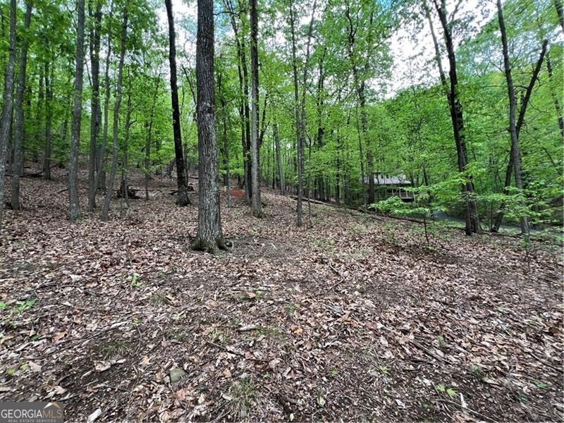 387 Windflower Drive Big Canoe GA 30143