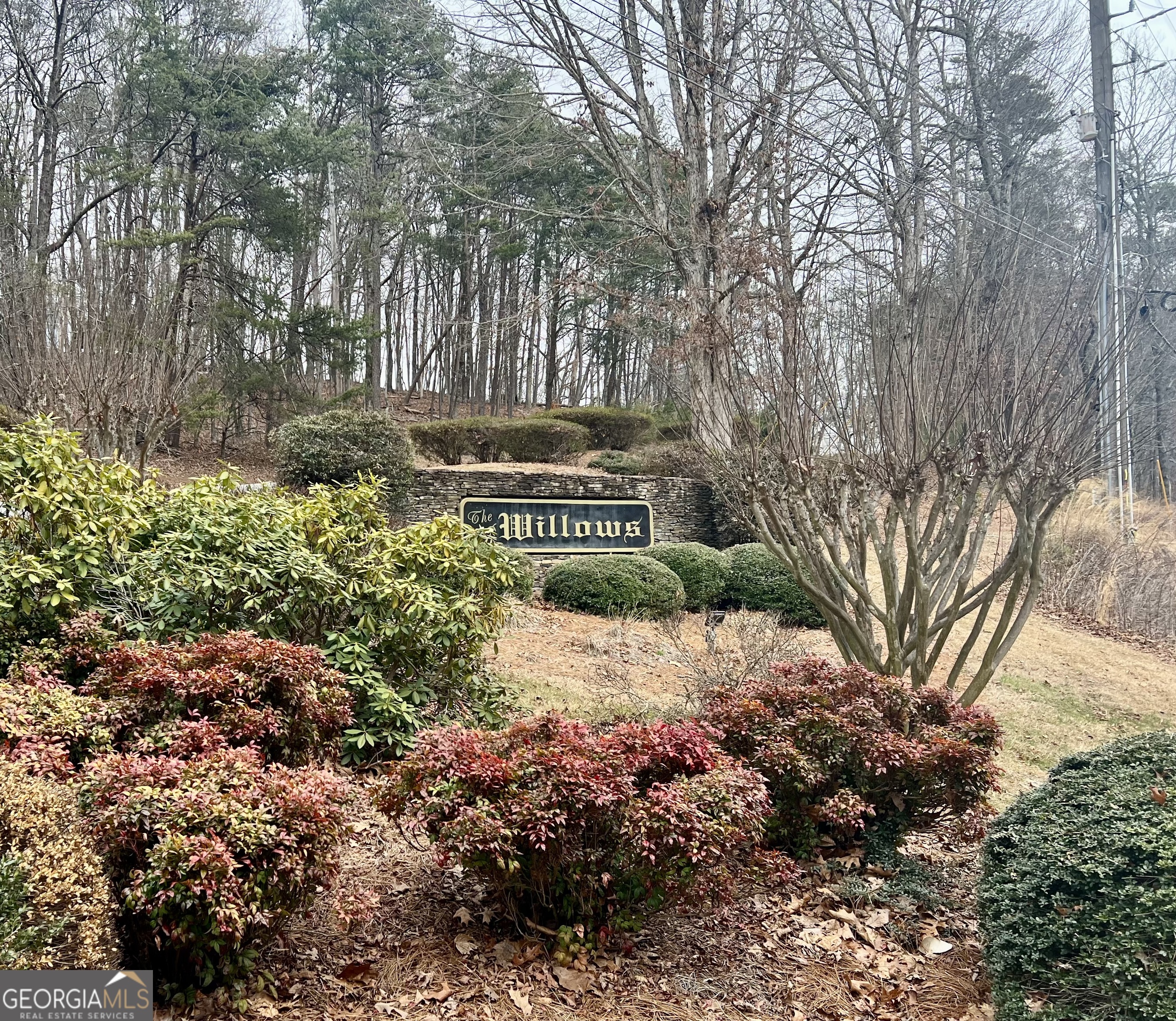 0 Willows Drive Cleveland GA 30528