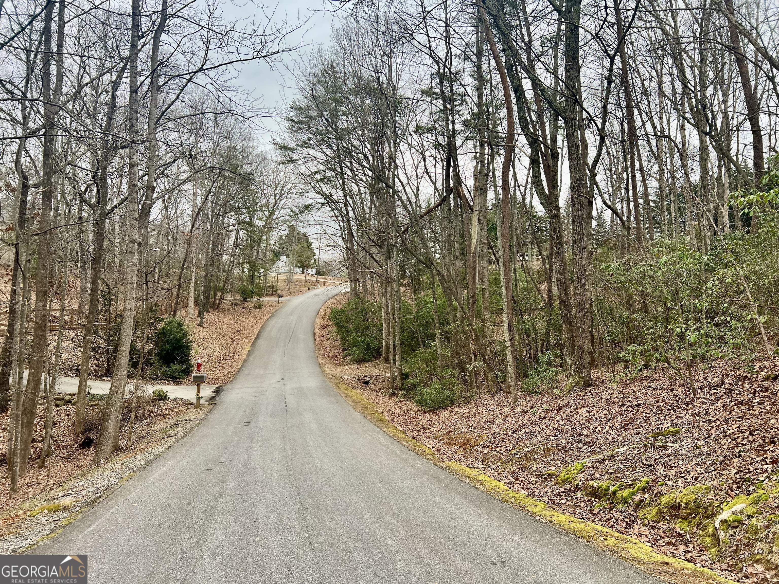 0 Willows Drive Cleveland GA 30528