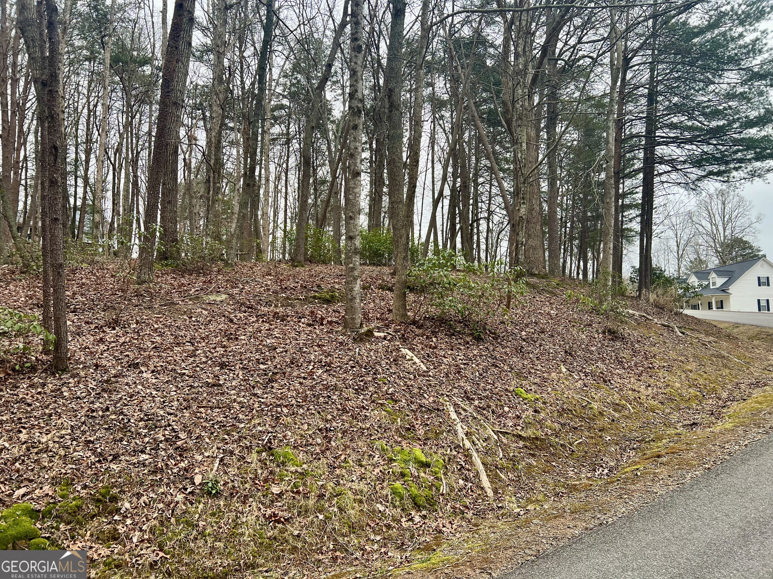0 Willows Drive Cleveland GA 30528